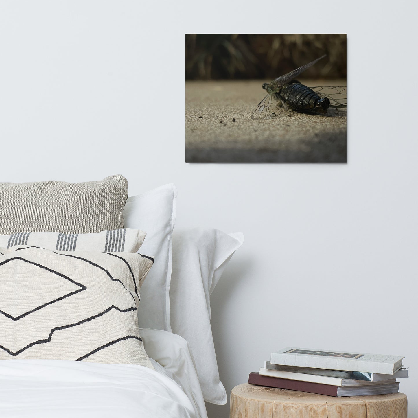 Cicada metal prints